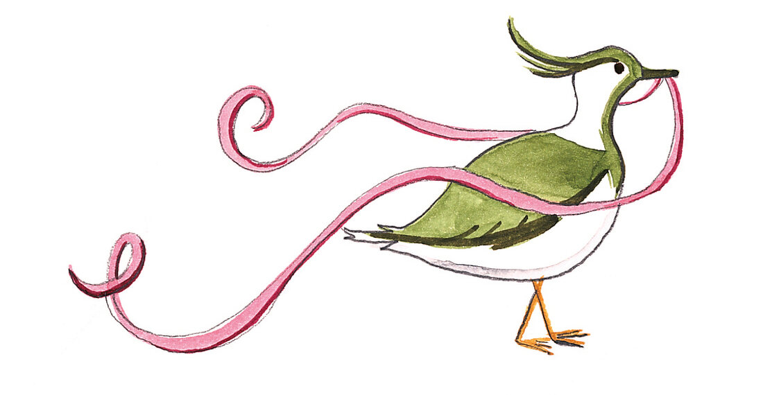 Grün-weißer Vogel mit rosafarbenem Band im Schnabel