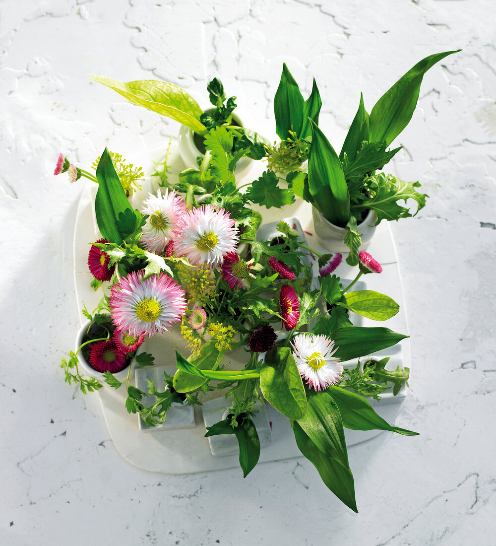 Arrangement of flowers and herbs