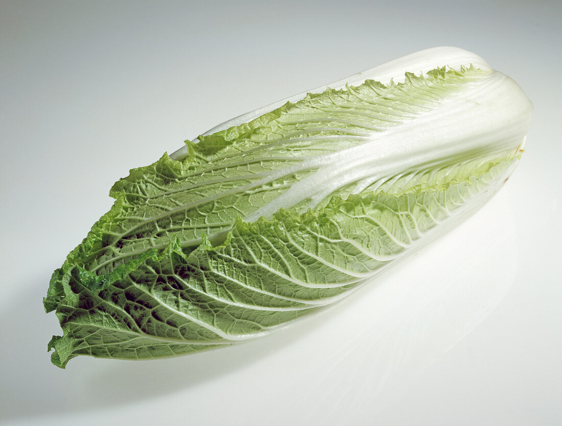 Close-up of Chinese cabbage on white background