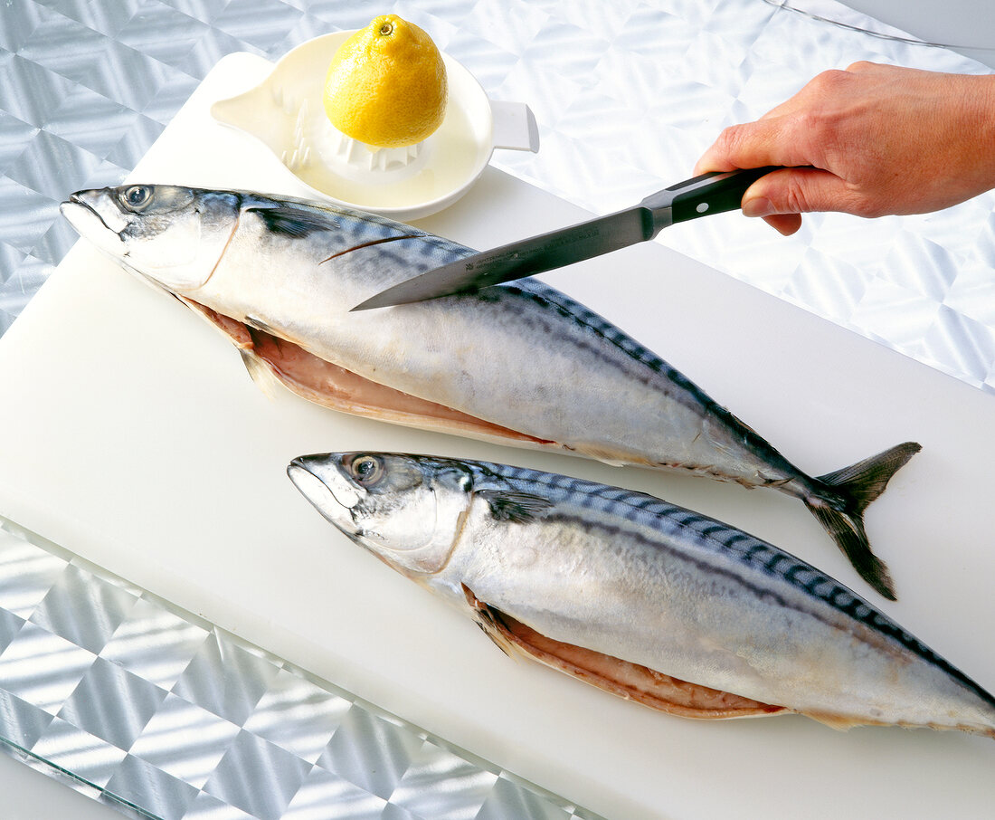Mackerel being slightly cut on white chopping board with knife