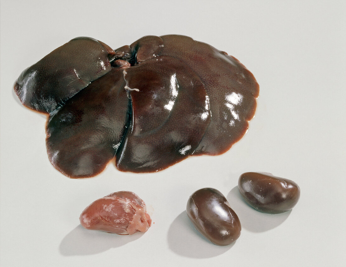 Rabbits liver, heart and kidney on white background