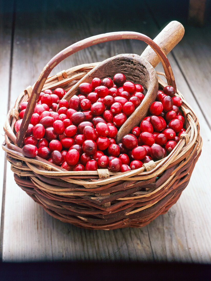 Close-up of cranberries in basket with wooden scoop in it