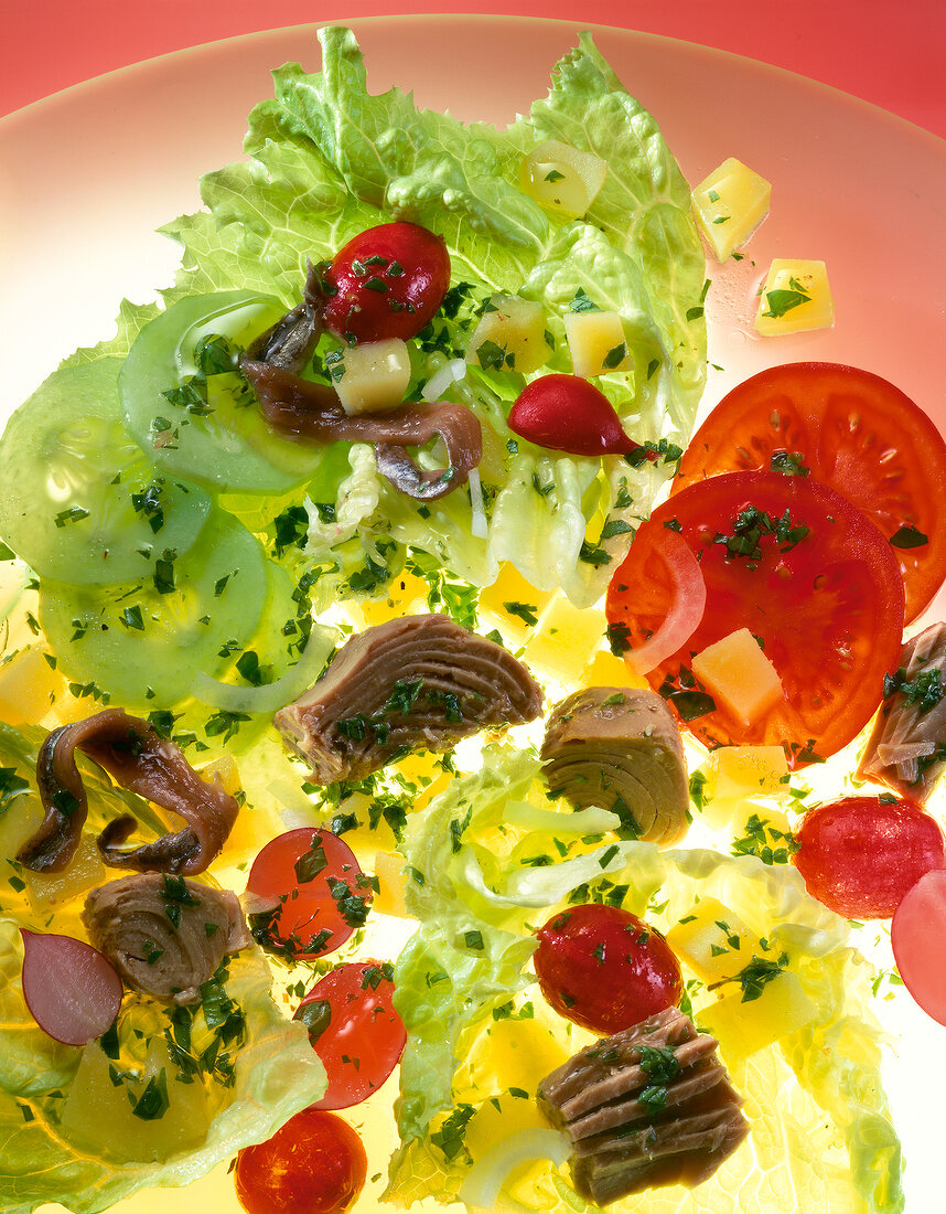 Close-up of tuna salad with tomatoes, cucumbers, onions and radishes