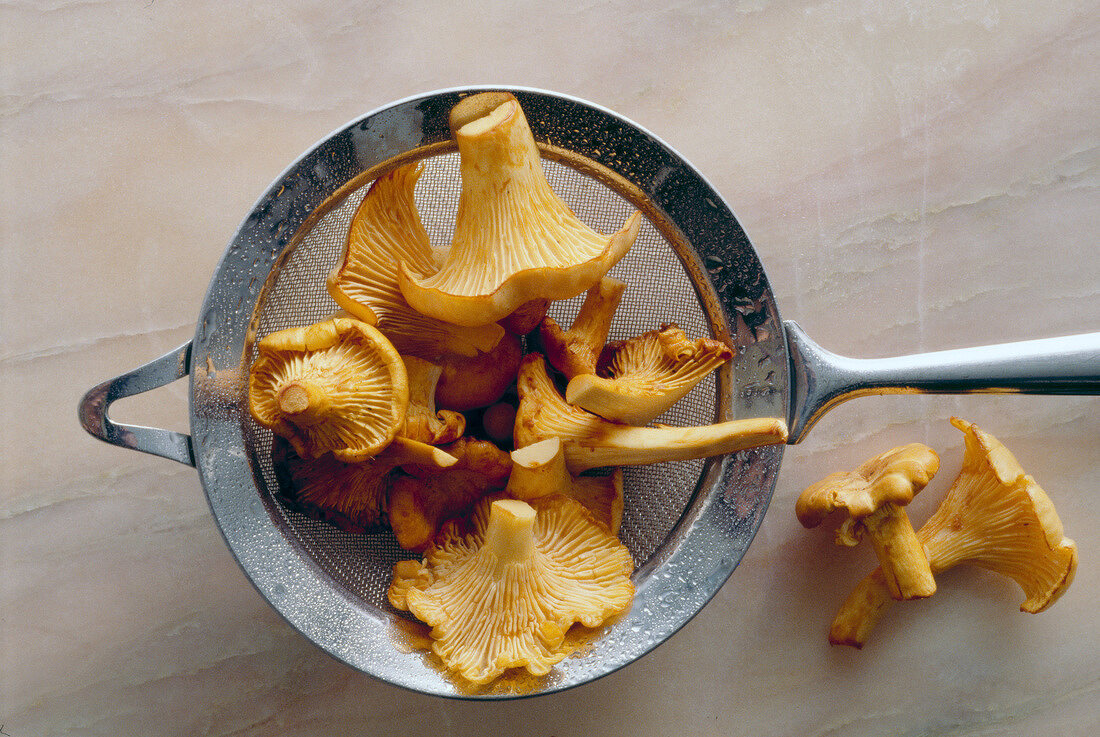 Chanterelles in a colander