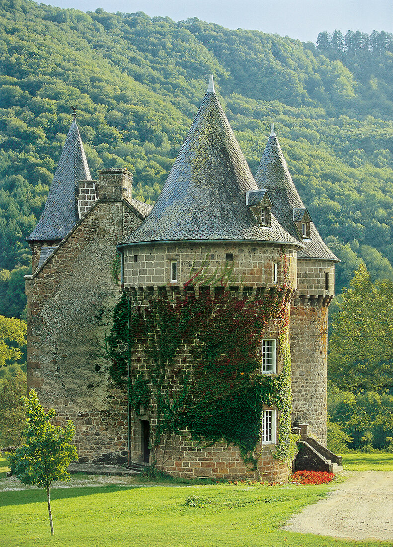 View of castle Chanterelle at Anglards-de-Salers, France
