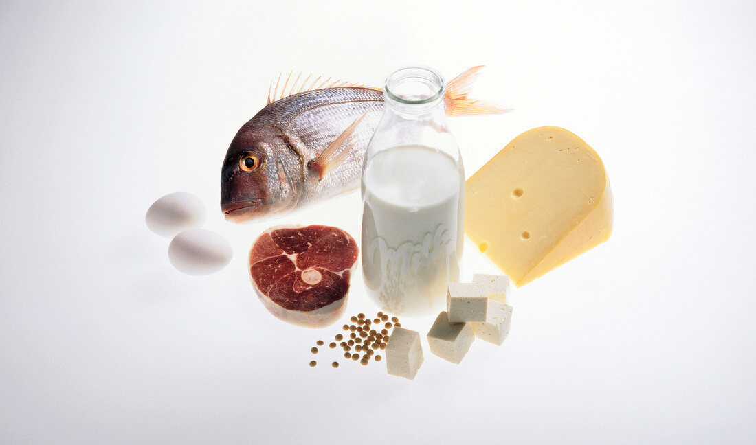 Fish, eggs, cheese, milk and meat on white background