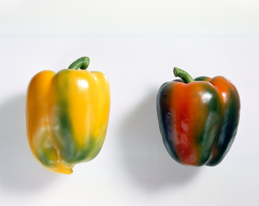 Two peppers on white background