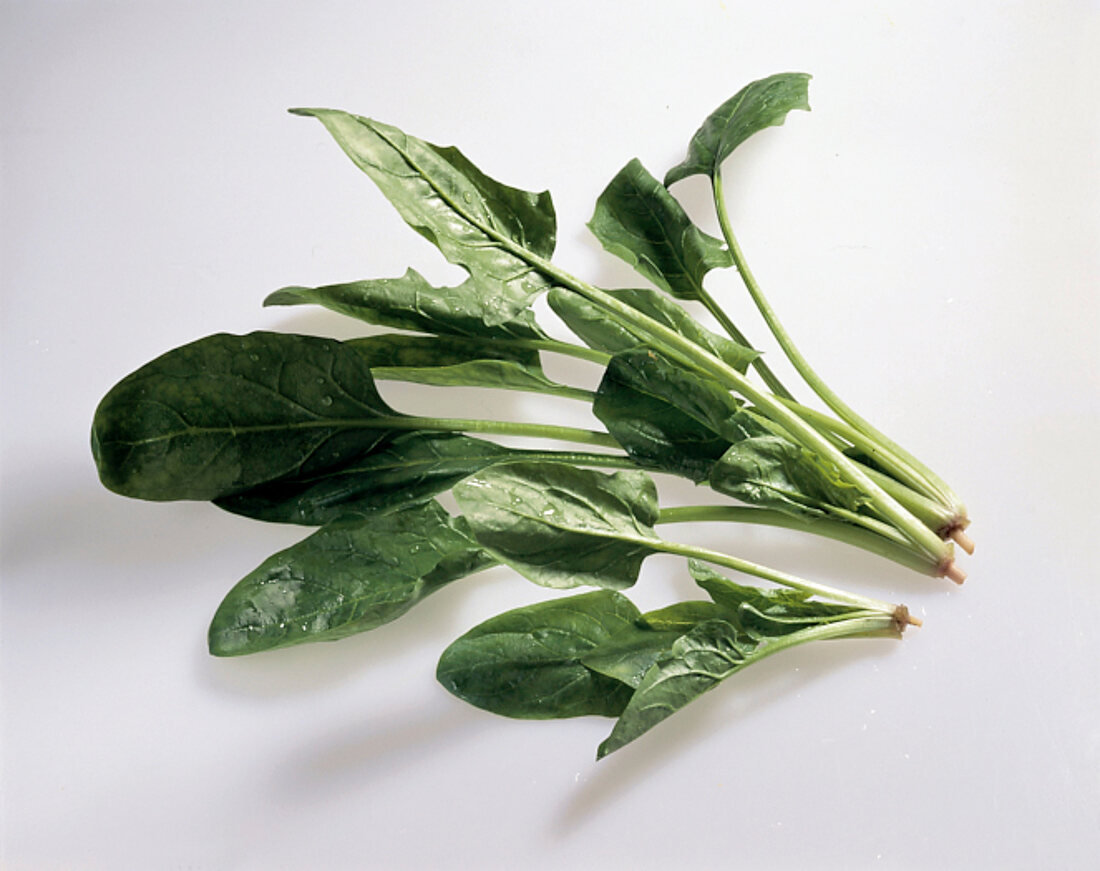 Japanese horenso spinach on white background