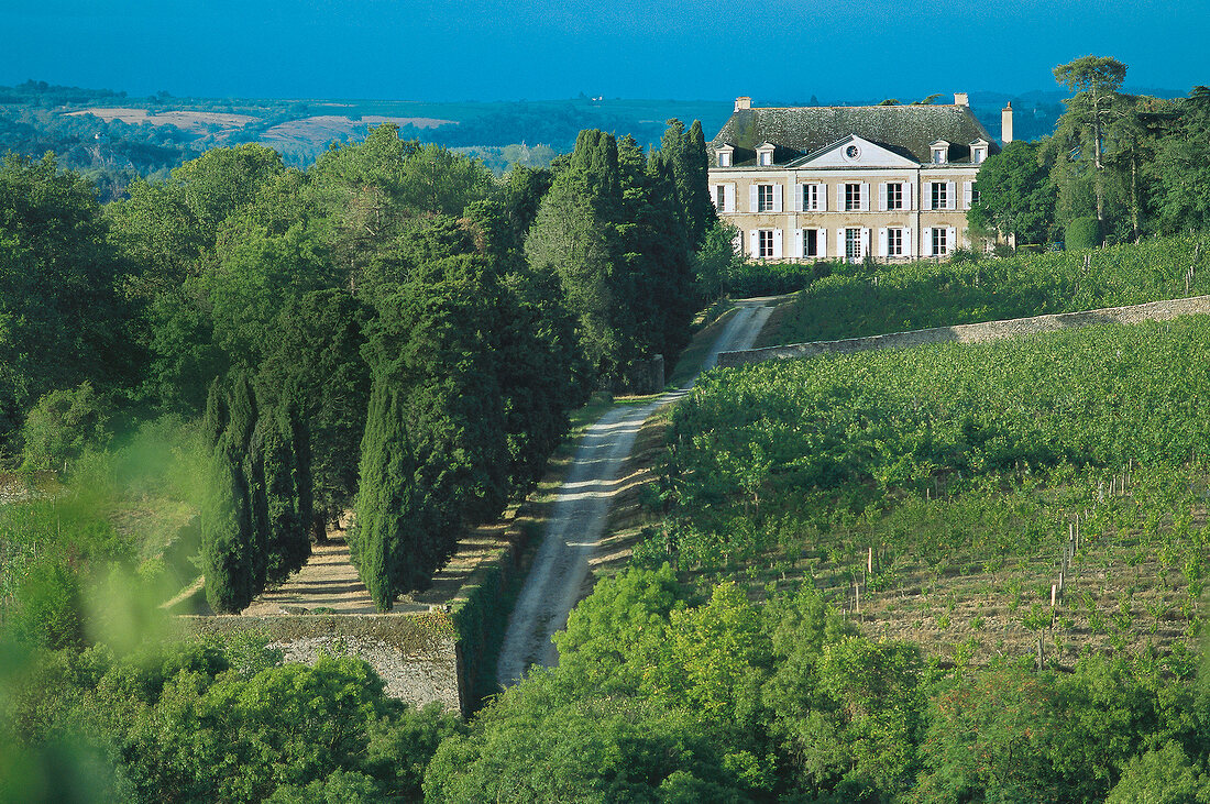 View of Ch�teau de la Roche aux Moines, Anjou-Saumur, France