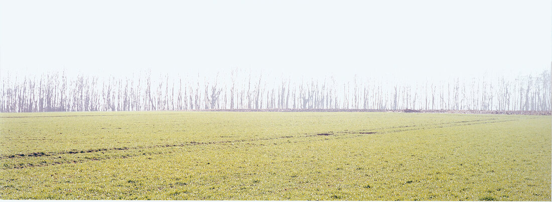 View of landscape of field