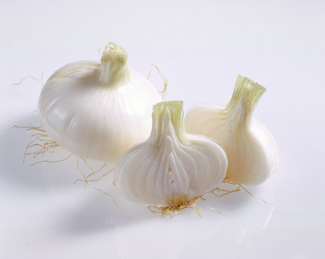 Close-up of white onions on white background