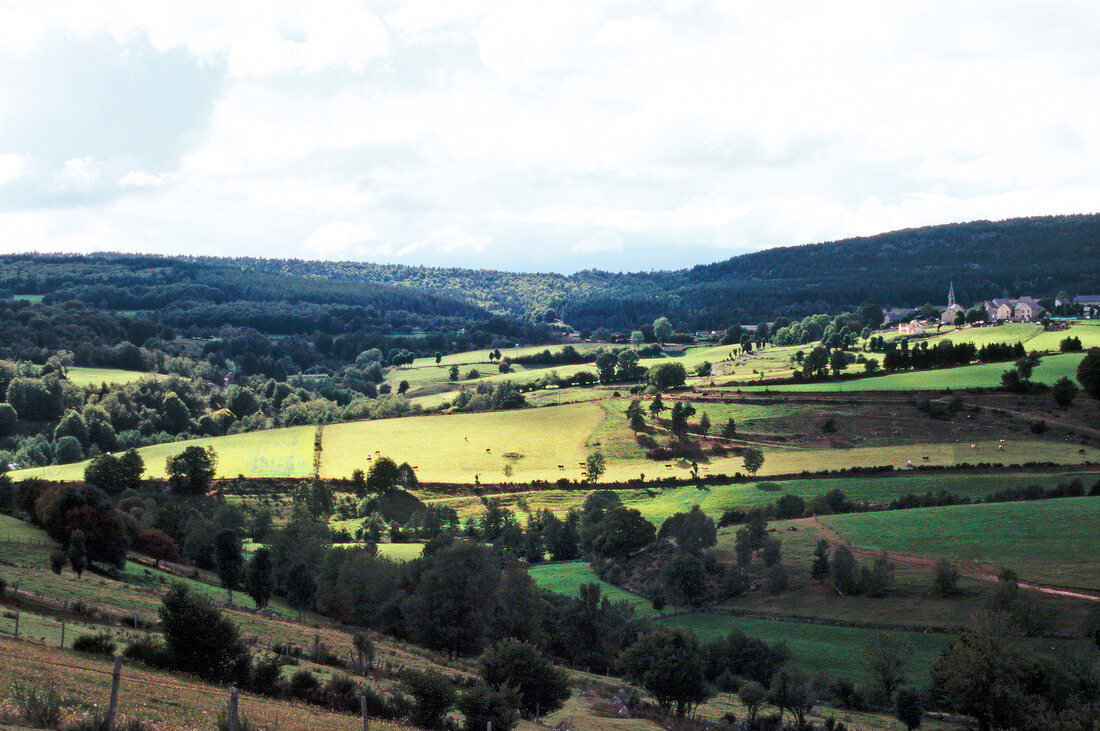 Blick über die Hügel des Hochplateaus Aubrac, Auvergne