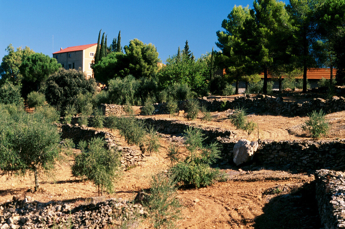 View of 'Mas d'en Gil' winery in Bellmunt del Priorat, Priorat, Spain