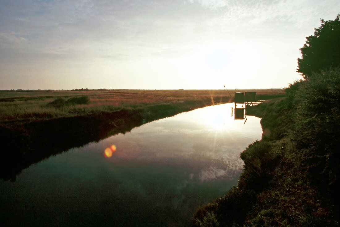 View of marsh land at sunset, Briere Regional Natural Park, France