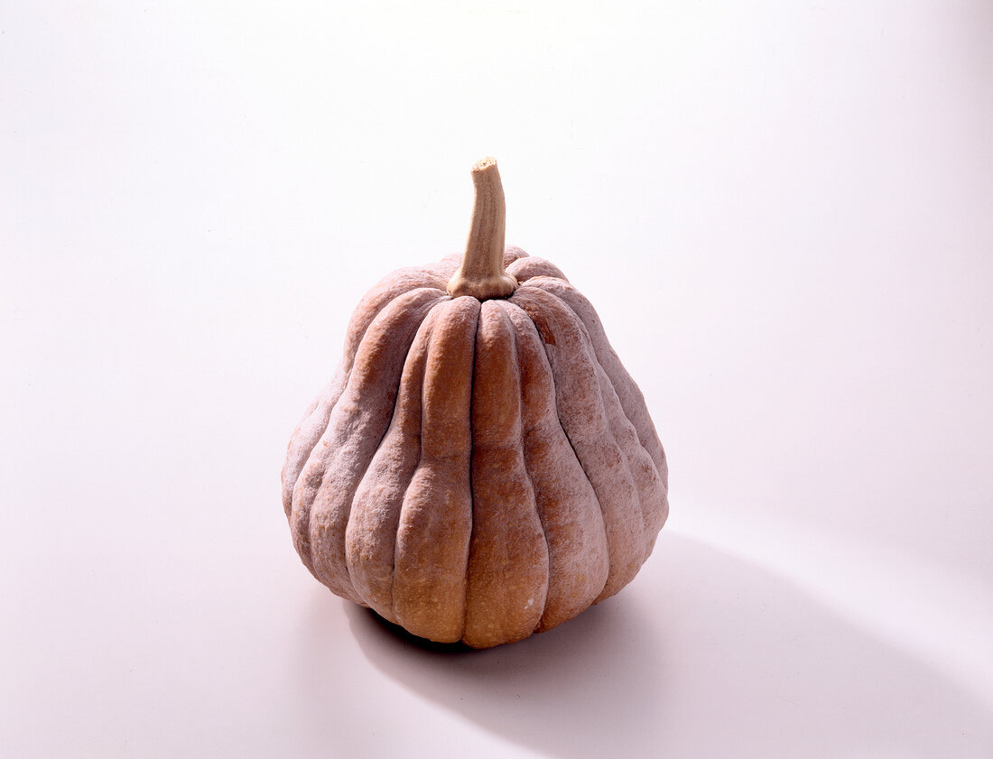 Close-up of butternut squash on white background