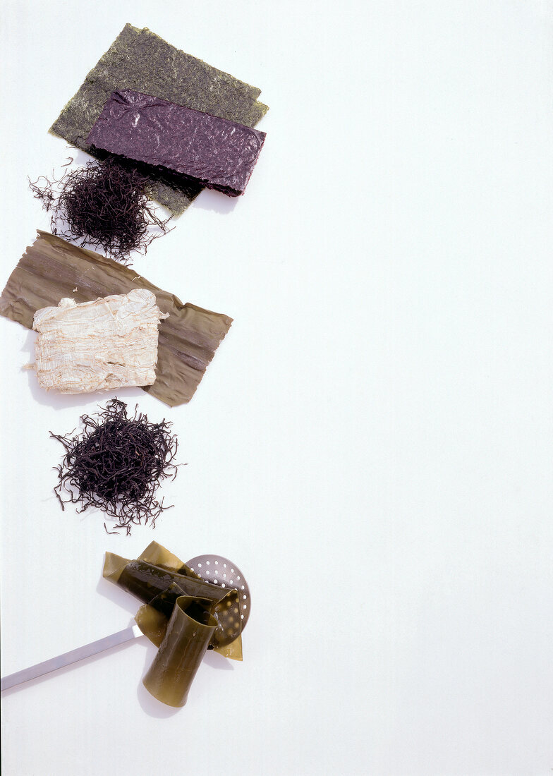 Five different types of algae on white background, overhead view