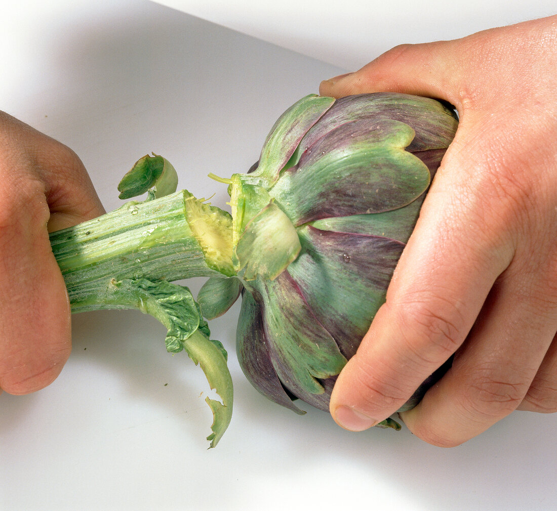 Close-up of hands breaking stem of artichoke, step 1