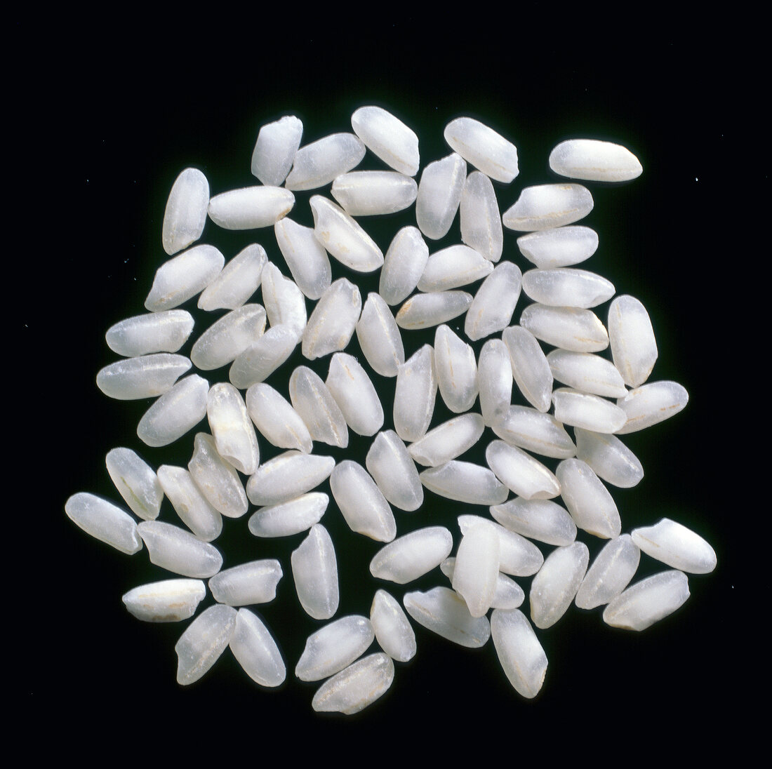 Close-up of carnaroli rice on black background