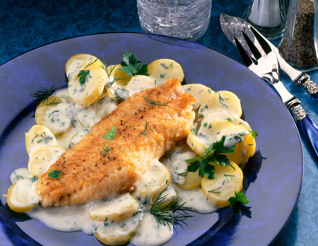 Close-up of fish fillet with Bechamel potatoes on purple plate