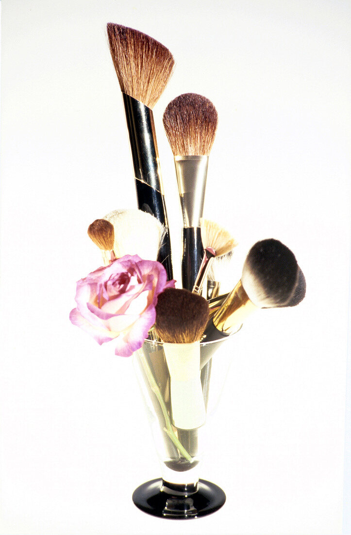 Various blusher brush and rose in wine glass against white background