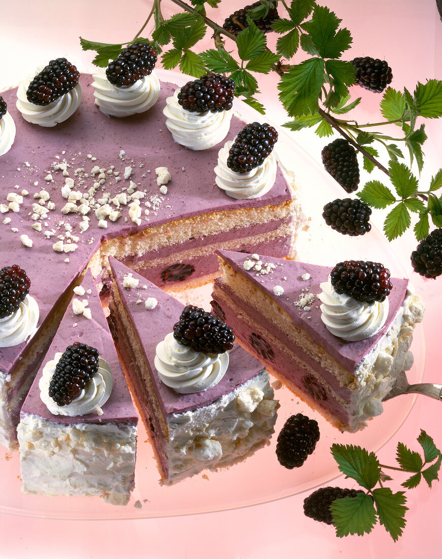 Close-up of brombeer torte cake and one piece on spatula