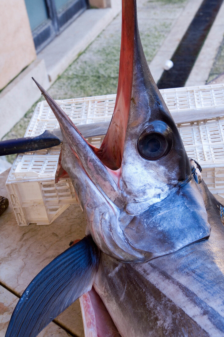 Swordfish in market, Marsala, Sicily