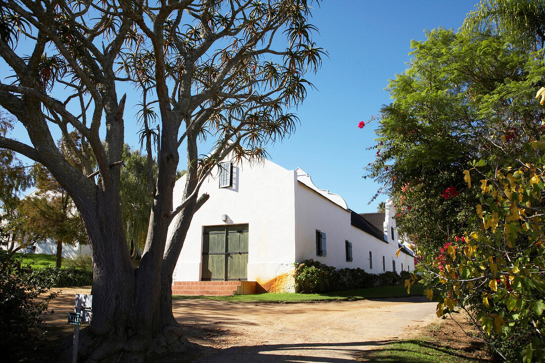 Building of DeWaal Wines, South Africa