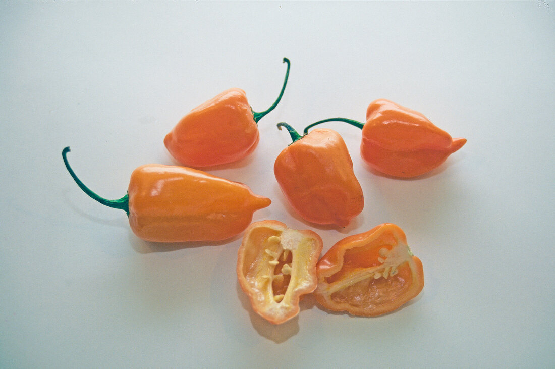 Paprika, Chile habanero, orange, extrem scharfe Chili