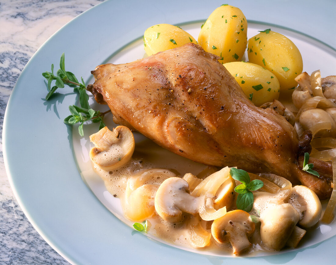 Rabbit's meat with mushrooms, potatoes and onions on plate
