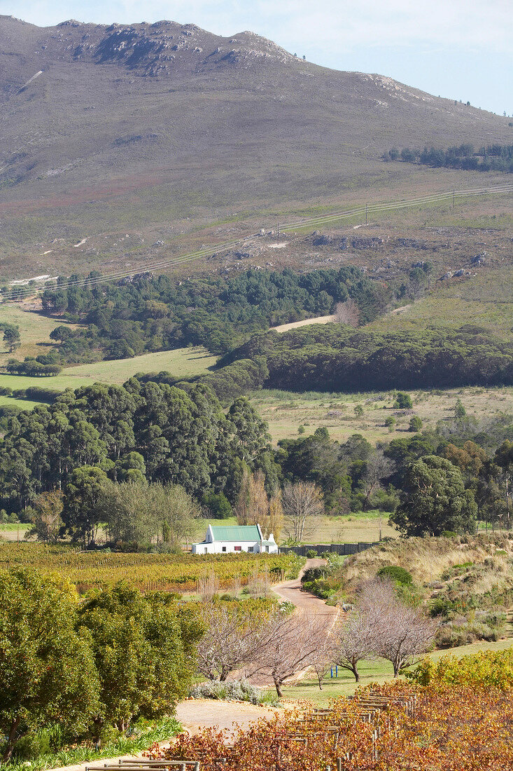 Südafrika, Weingut Bouchard Finlayso n, Ausblick, Landschaft