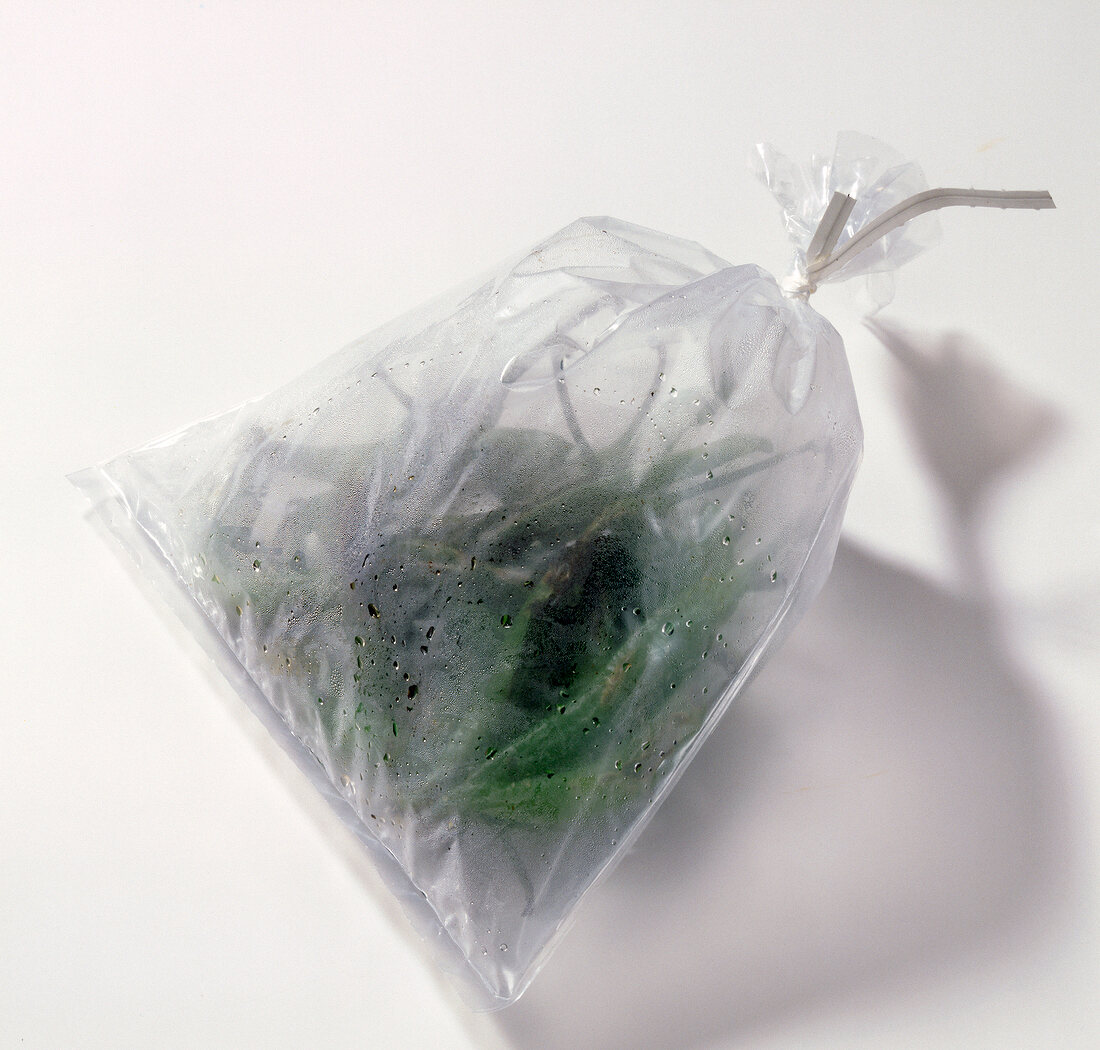 Roasted green chillies in air filled plastic bag, step 2