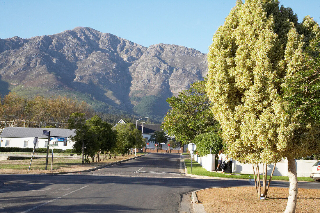 View of road with mountains in the background, Franschhoek, South Africa