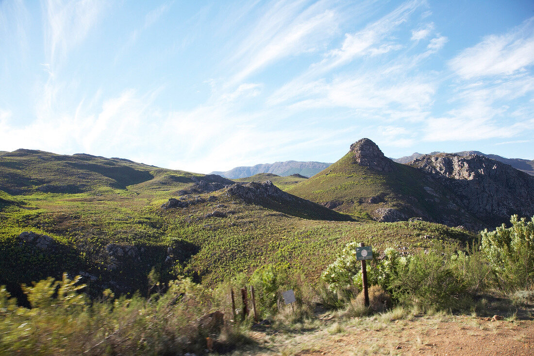 View of landscape and mountain in Bouchard Finlayson Winery, South Africa