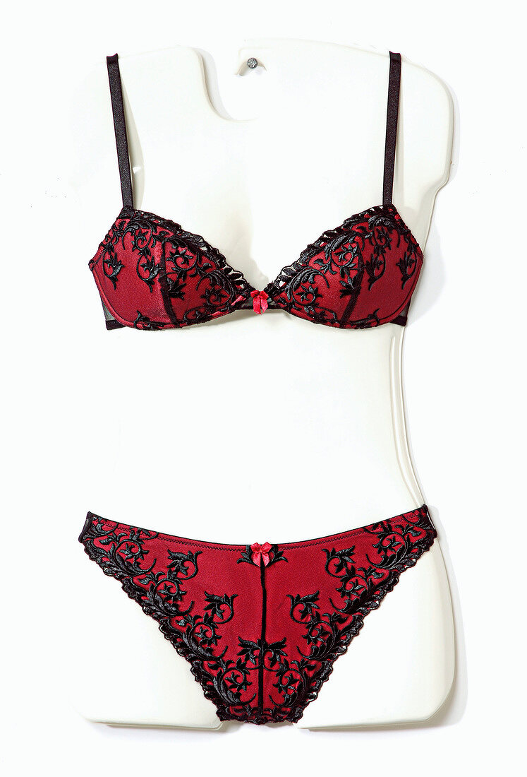 Red lingerie with embroidery on upper body mannequin