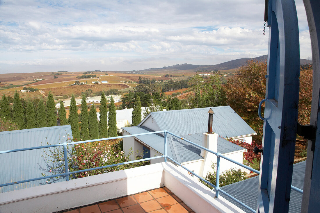 View of trees and vineyards from the terrace of Meinert Winery, South Africa