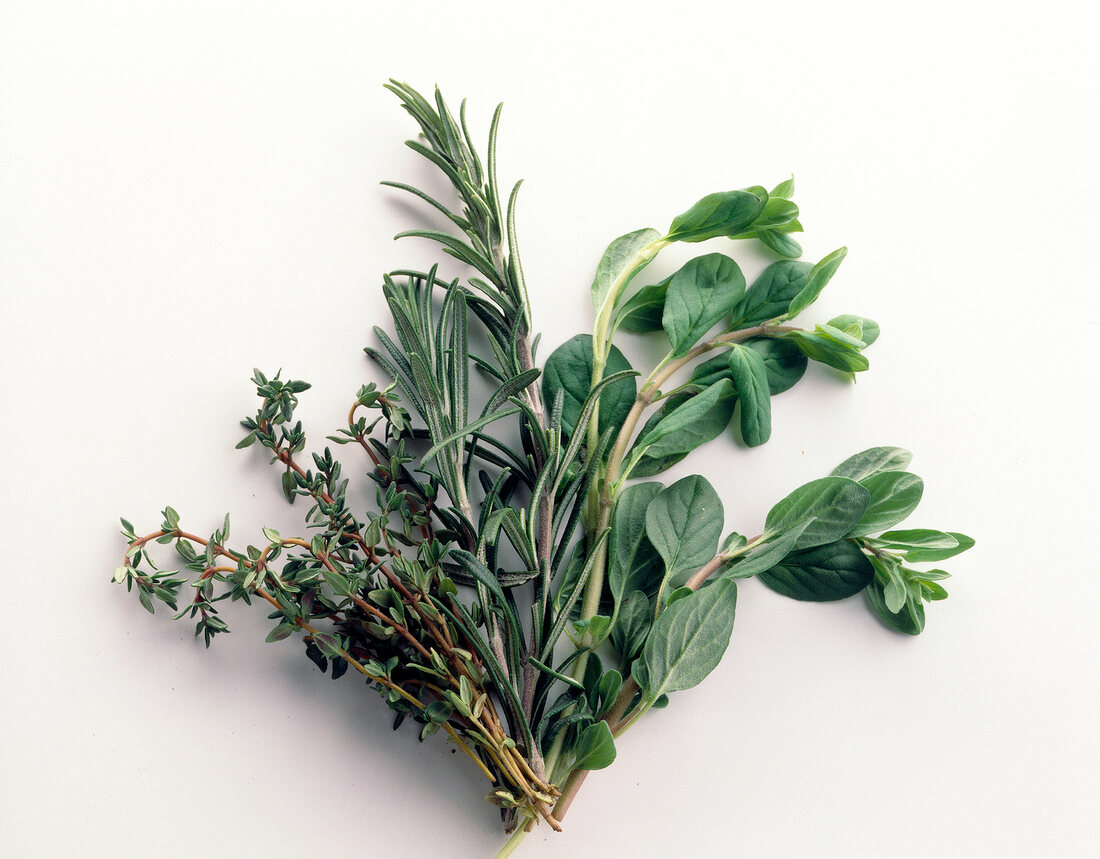 Fresh herb like rosemary, thyme and marjoram on white background