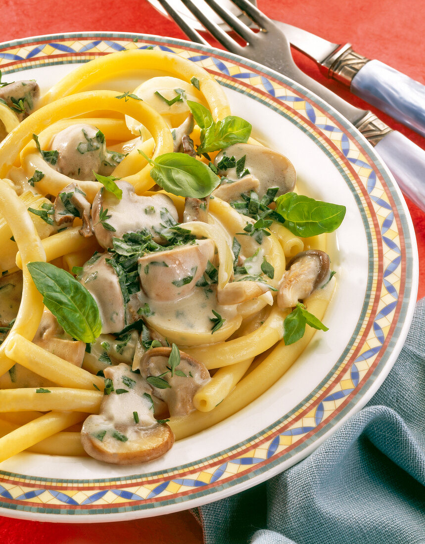 Macaroni with mushroom, sauce and herb on pattern plate