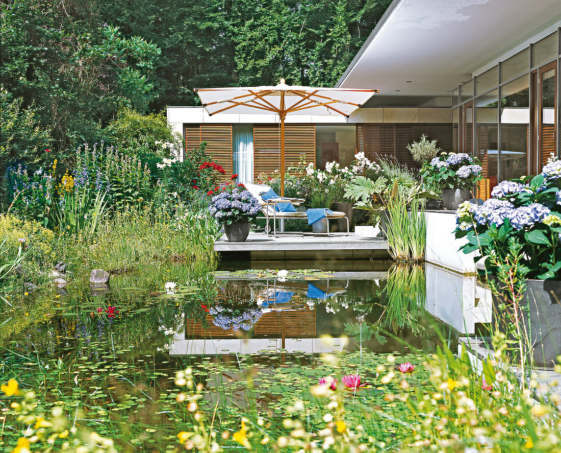 Terrace pond with flowers and greenery overlooking long chair under parasol for sunbathing
