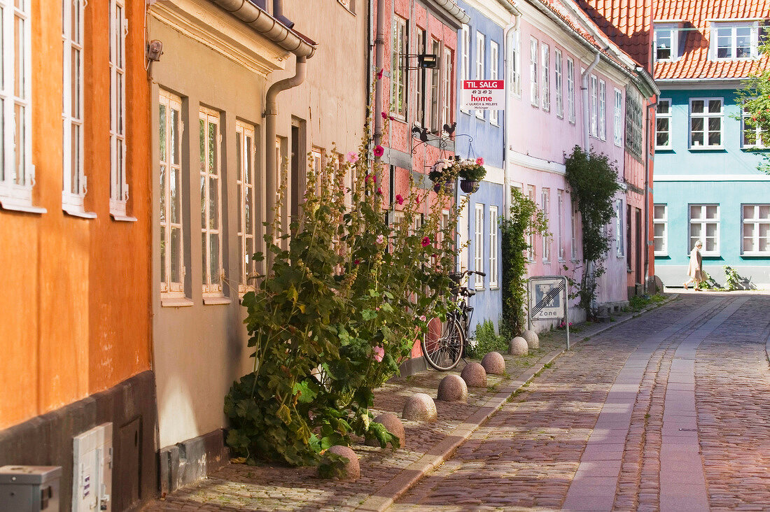 Idyllic street with colourful houses and plants in Helsingor, Denmark