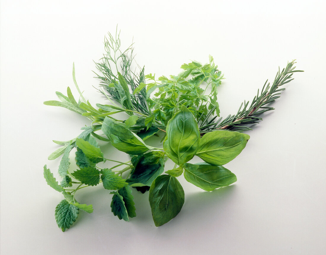 Basil, balm, tarragon, dill, parsley and rosemary on white background