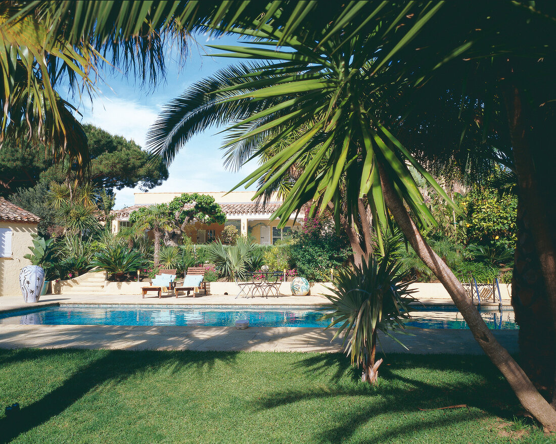 View of villa with swimming pool and palm trees, Saint-Tropez, France