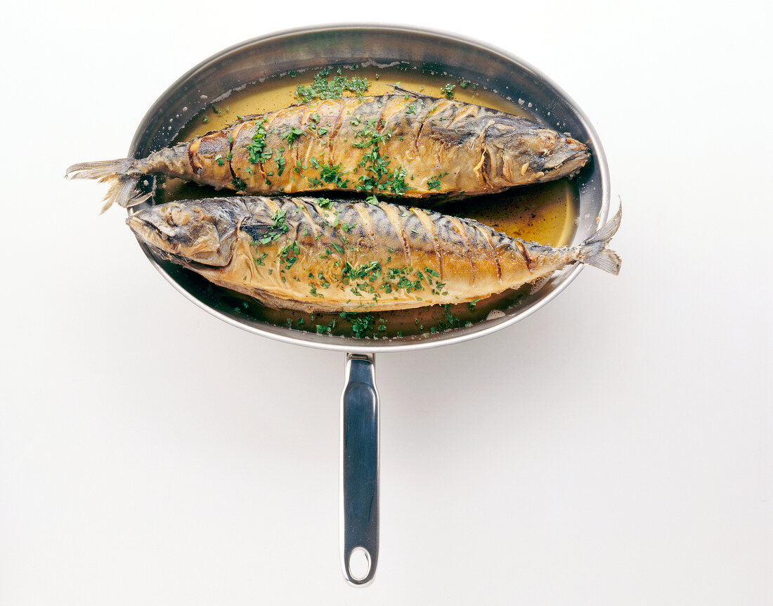 Fish marinated with herbs in a pan