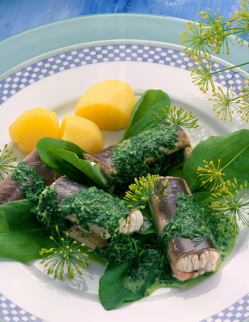 Aal grün in Dillsauce mit Kartoffeln und Kräutern auf Teller