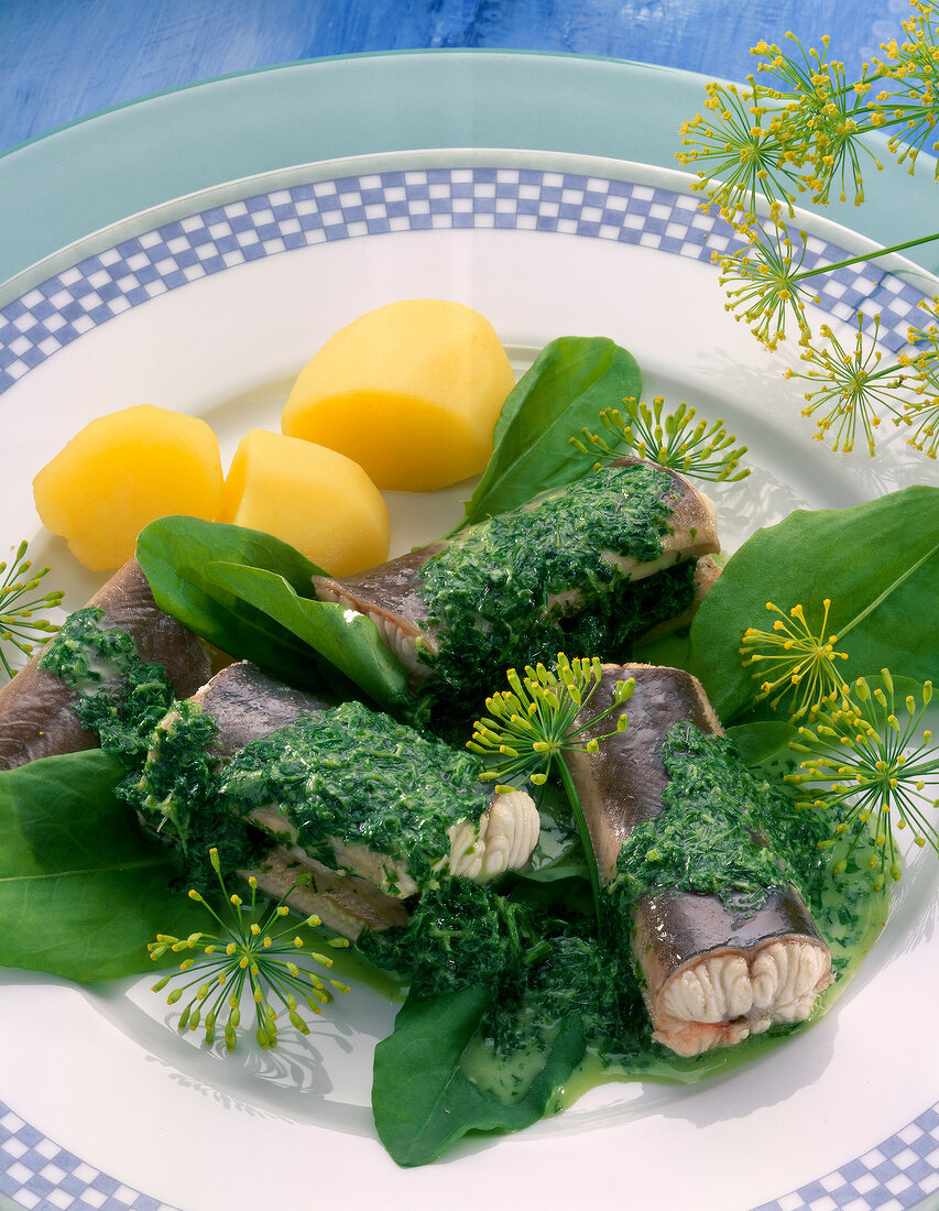 Eel in green sauce with dill potatoes and herbs on plate