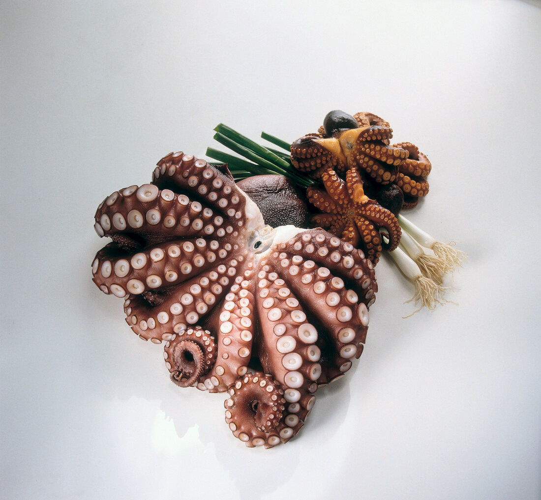 Close-up of octopus and spring onions on white background