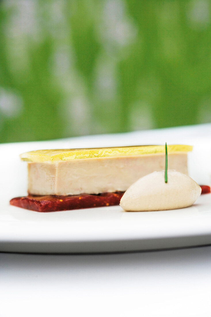 Close-up of foie grass with jelly served on plate in Perigord, France