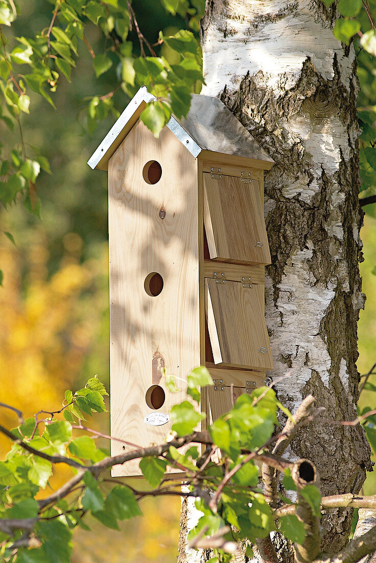 Vogelhäuschen, braunes Vogelhaus, "Mietskaserne", Spatzenvogelhaus