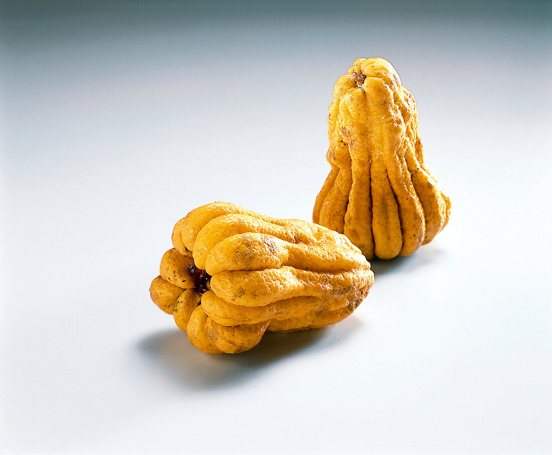 Buddha's hand lemons on white background