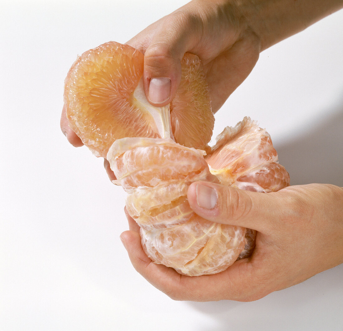 Close-up of hand tearing flesh of pomelo on white background