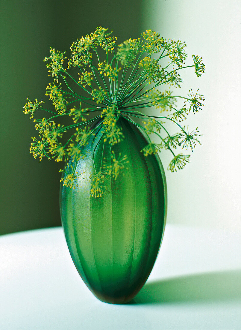 Close-up of umbel flower in green bulbous vase